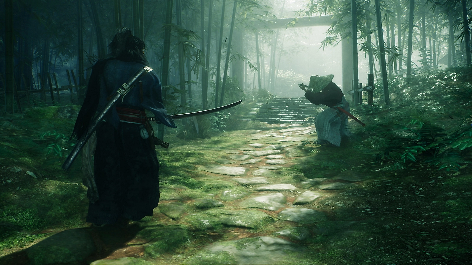 The Spiritual Journey of the Rise of the Ronin