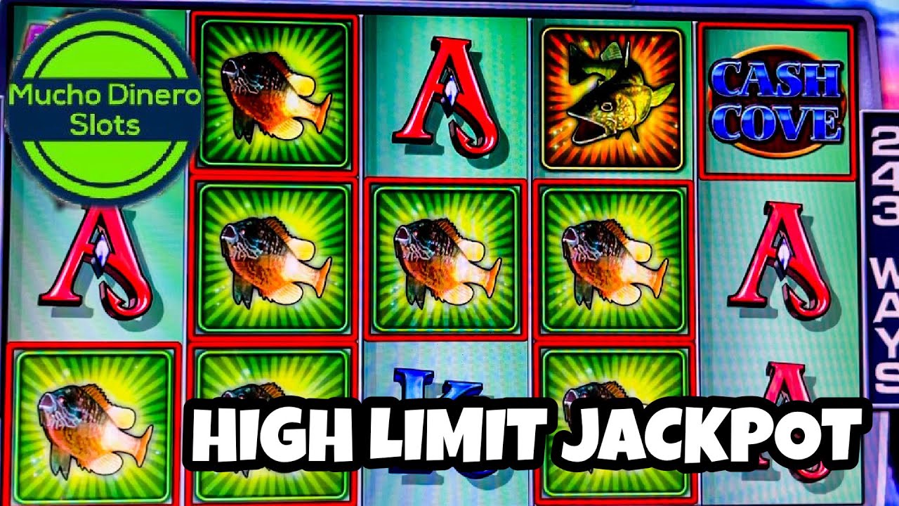 Technical Aspects and Development Insights of Cash Cove AVP Slots